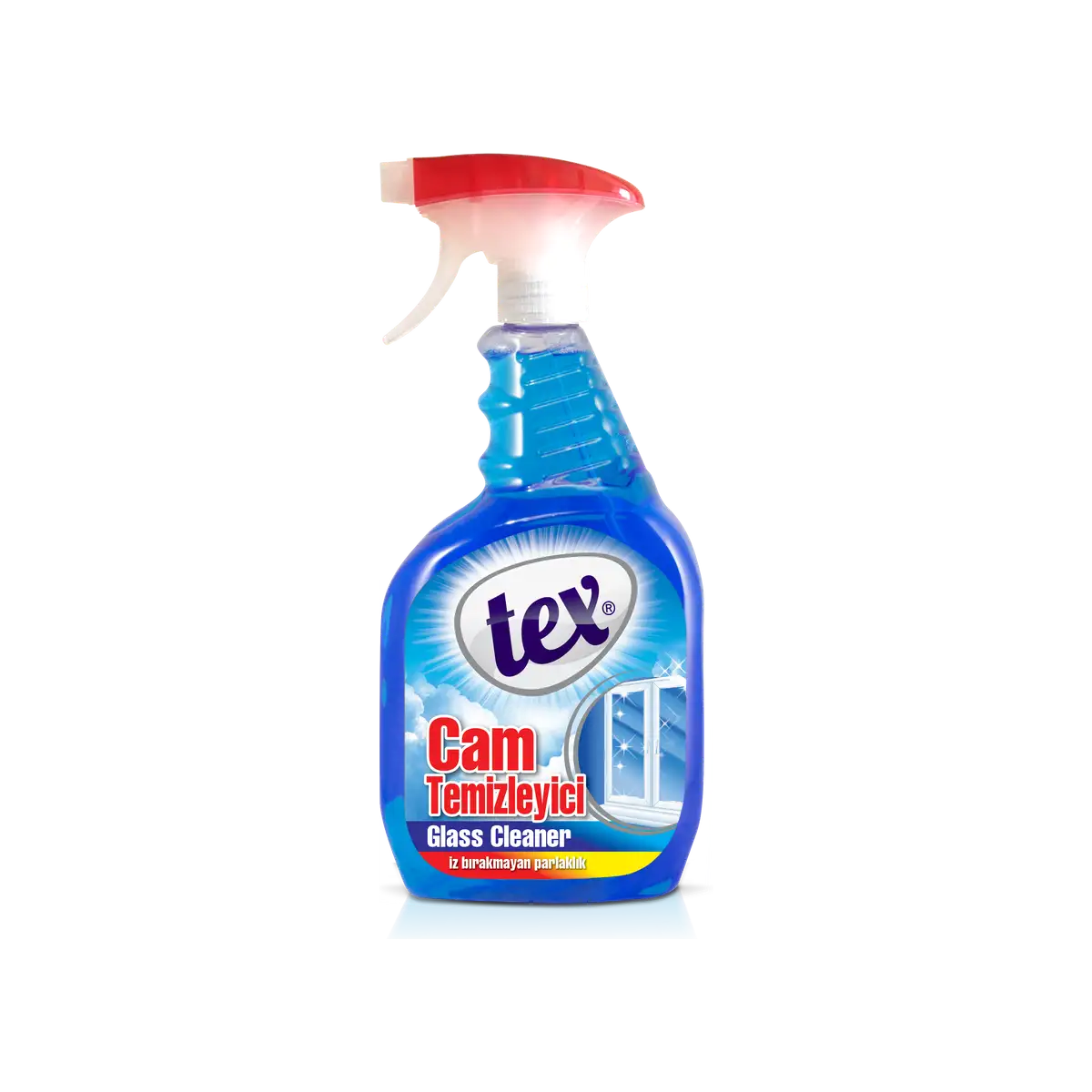 Solutie de curatat pentru inox spray TEX 750 ml