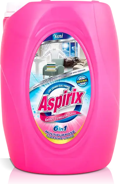 Detergent curatare Multisuprafete 6 in 1 Aspirix Universal